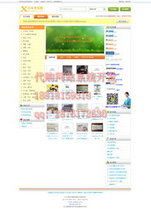 轉運系統企業完整設計與網頁制作價格及型號規格詳解